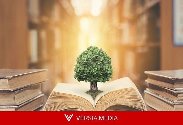The Best Law Schools For Environmental Law (2026)