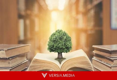 The Best Law Schools For Environmental Law (2026)